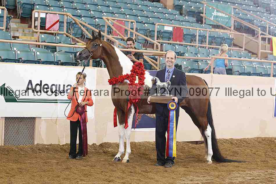 Proof 12yn_09077