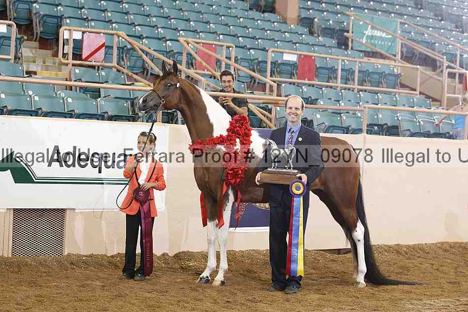 Proof 12yn_09078