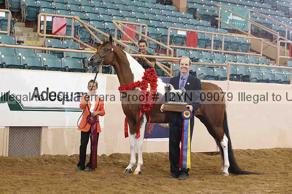 Proof 12yn_09079