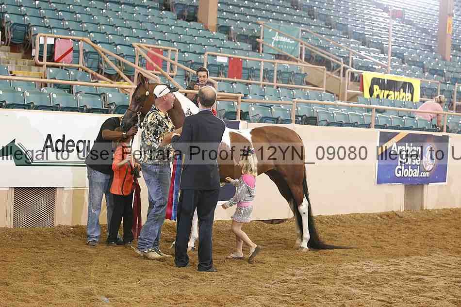 Proof 12yn_09080