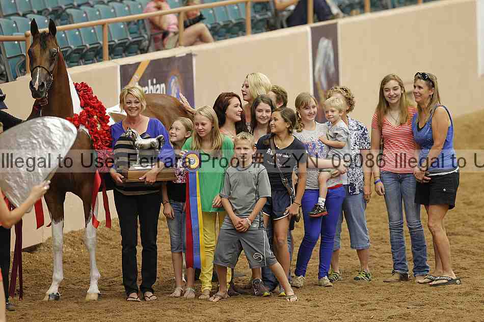 Proof 12yn_09086