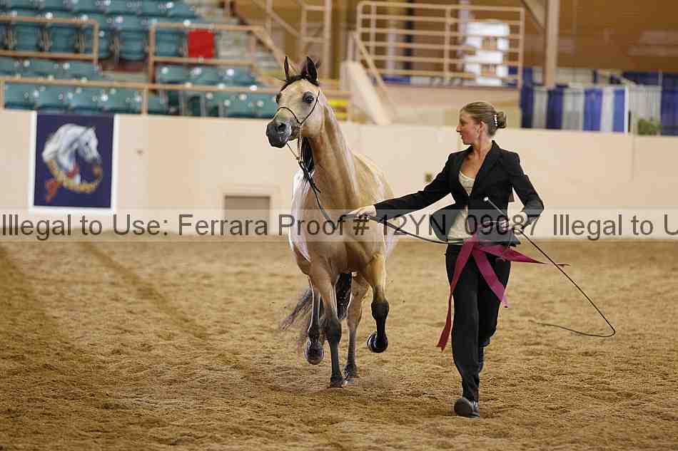 Proof 12yn_09087