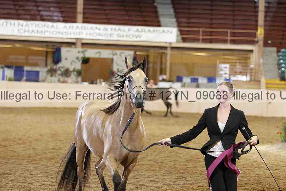 Proof 12yn_09088