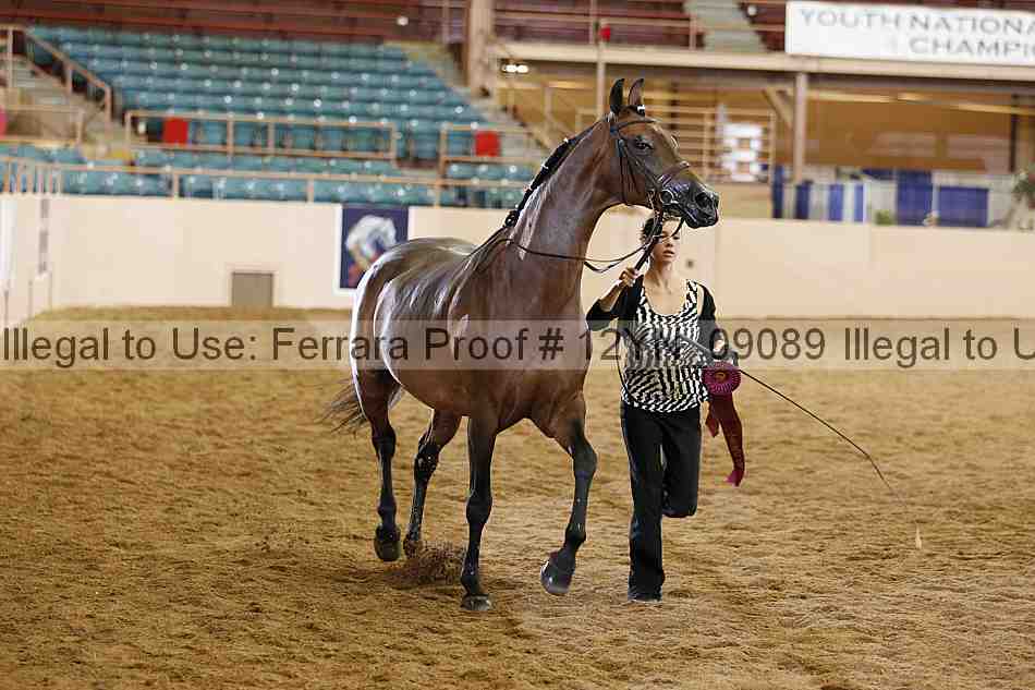 Proof 12yn_09089