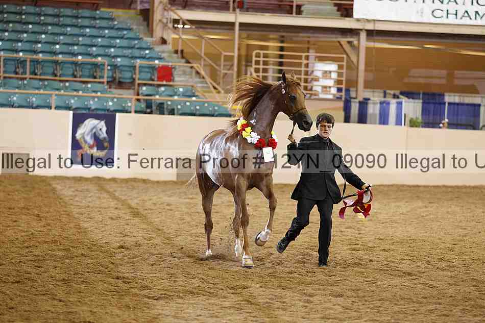 Proof 12yn_09090