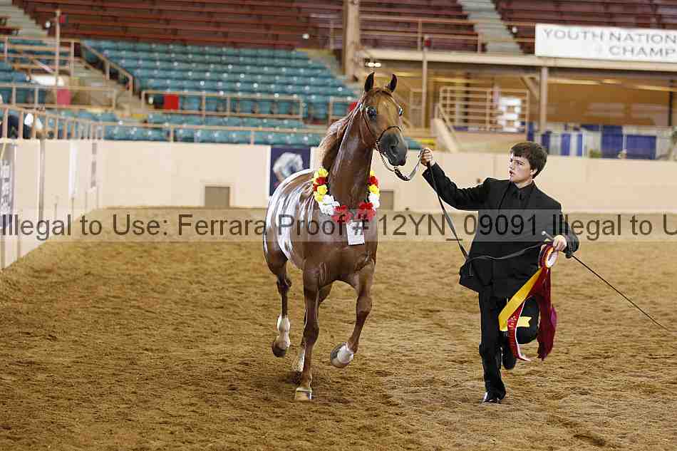 Proof 12yn_09091