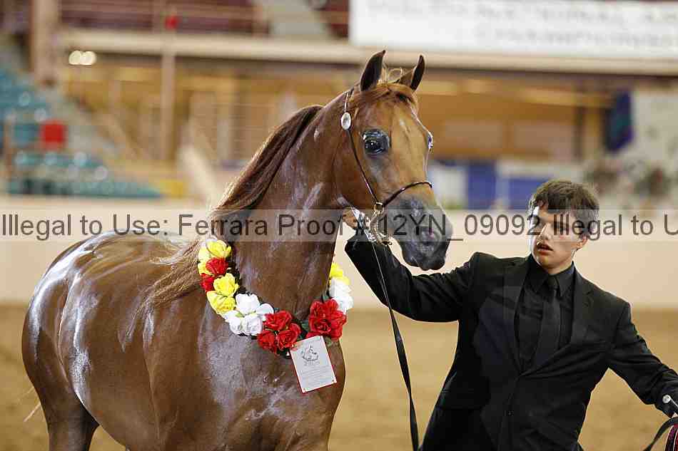 Proof 12yn_09092