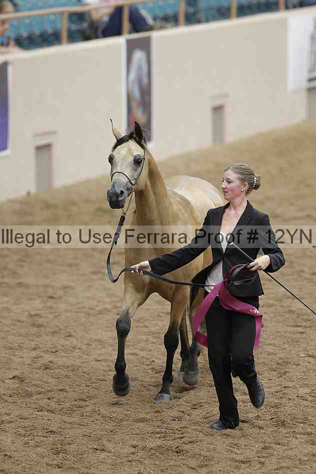 Proof 12yn_09093
