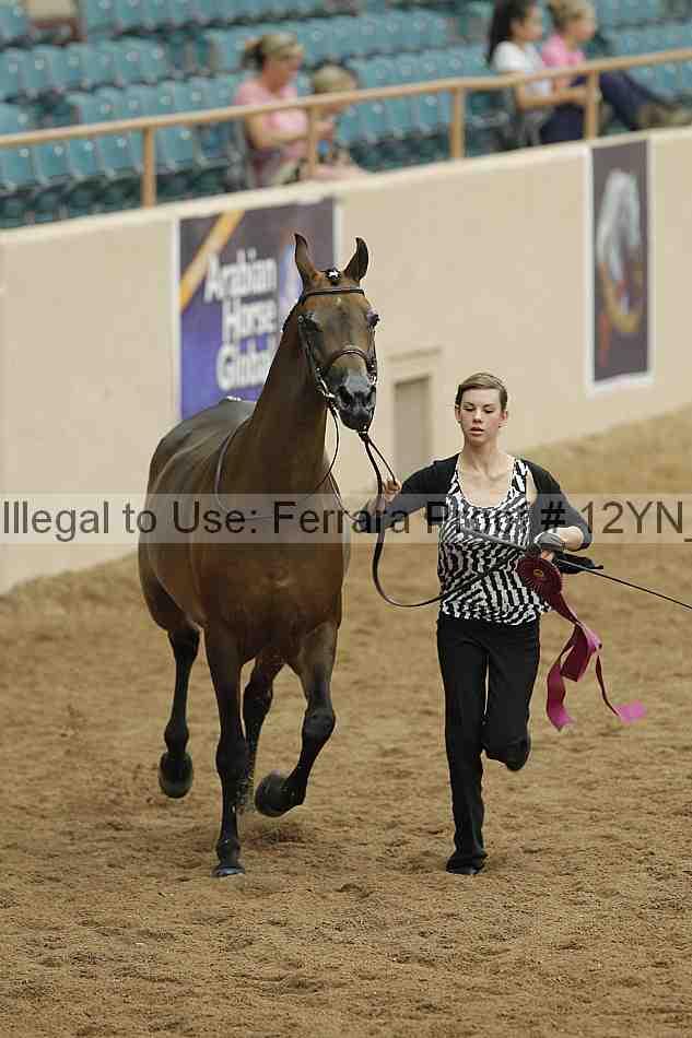 Proof 12yn_09094