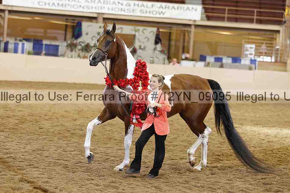 Proof 12yn_09095