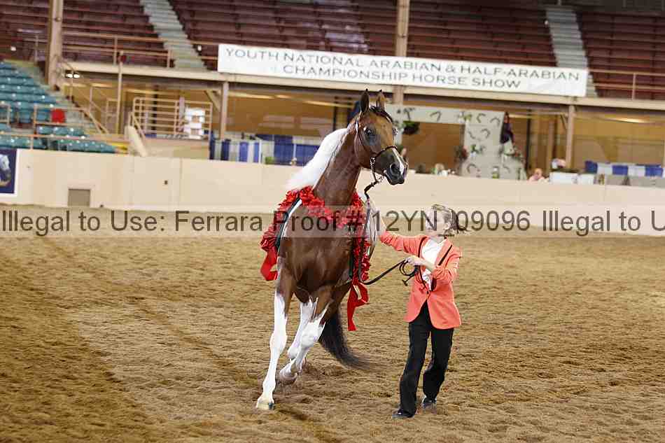 Proof 12yn_09096