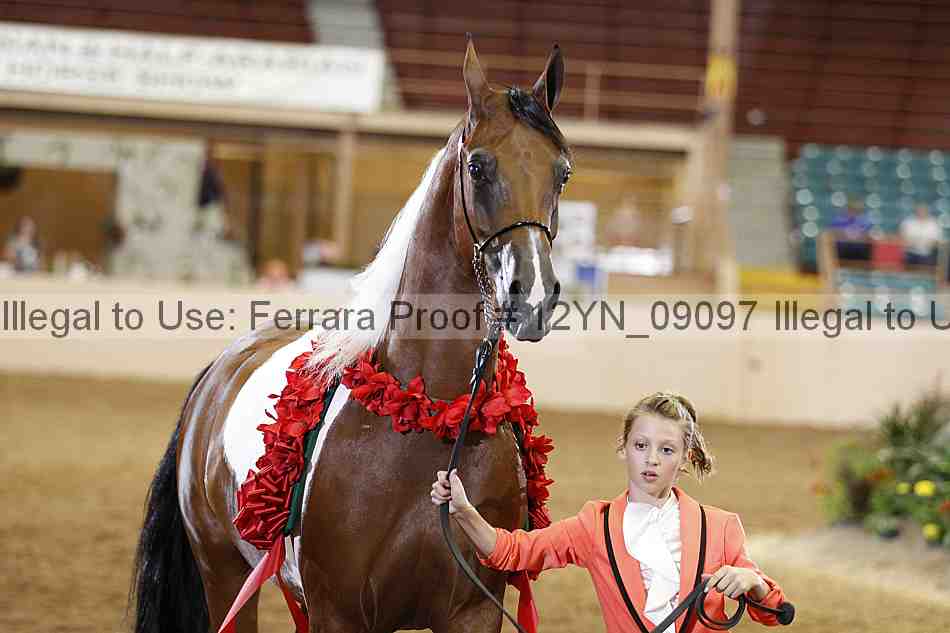 Proof 12yn_09097