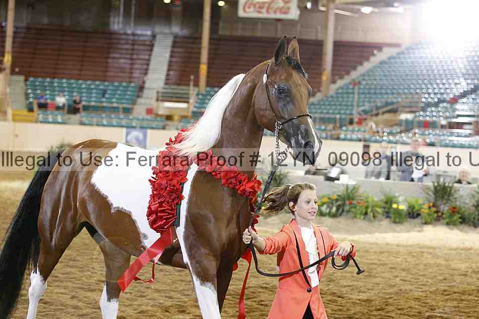 Proof 12yn_09098