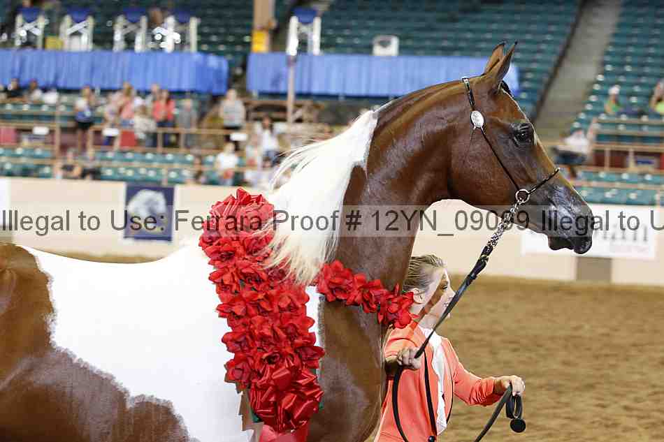 Proof 12yn_09099