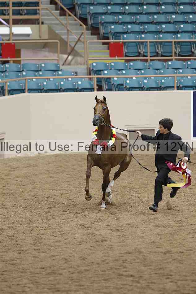 Proof 12yn_09100
