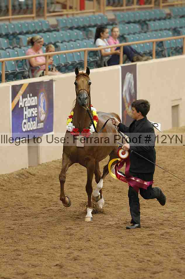 Proof 12yn_09102