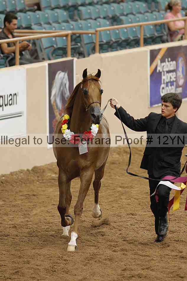 Proof 12yn_09103