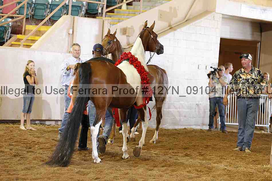 Proof 12yn_09104