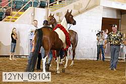 12yn_09104 proof