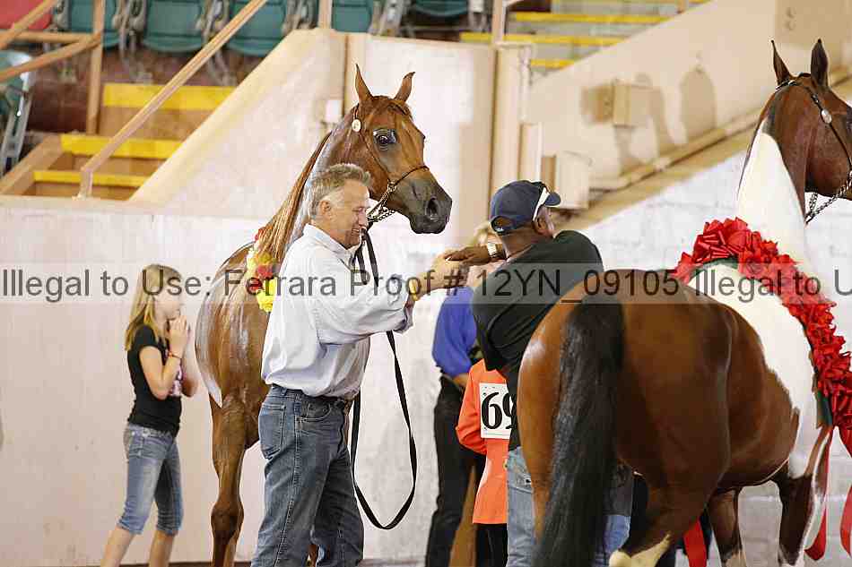 Proof 12yn_09105