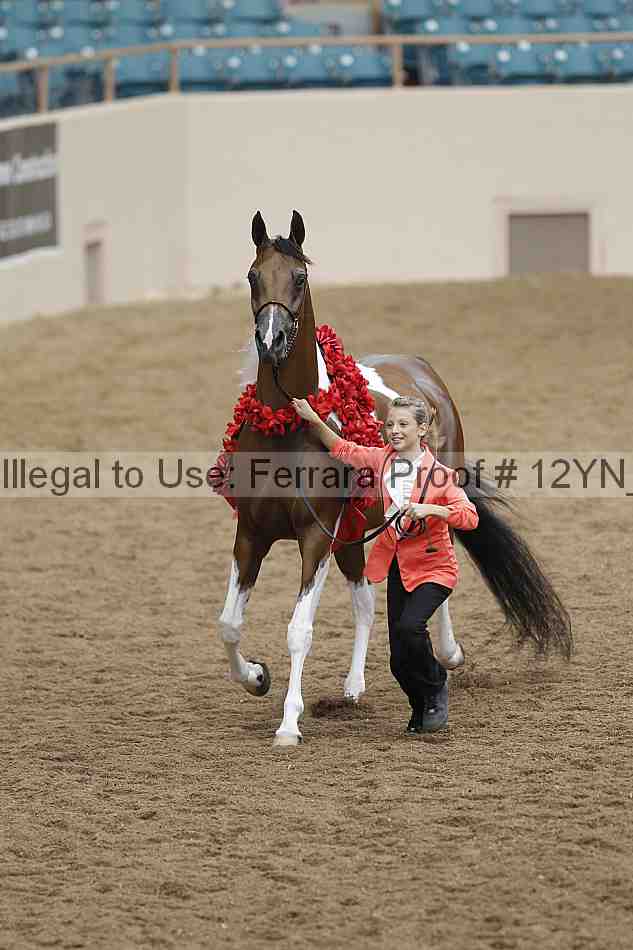 Proof 12yn_09106
