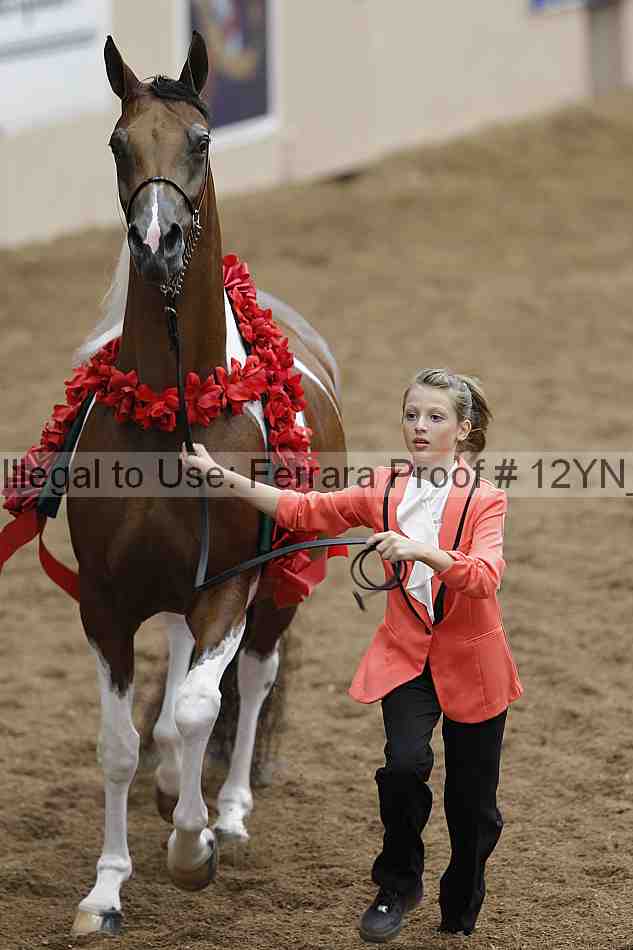 Proof 12yn_09107