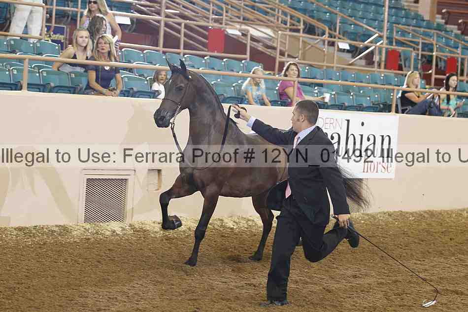 Proof 12yn_01492