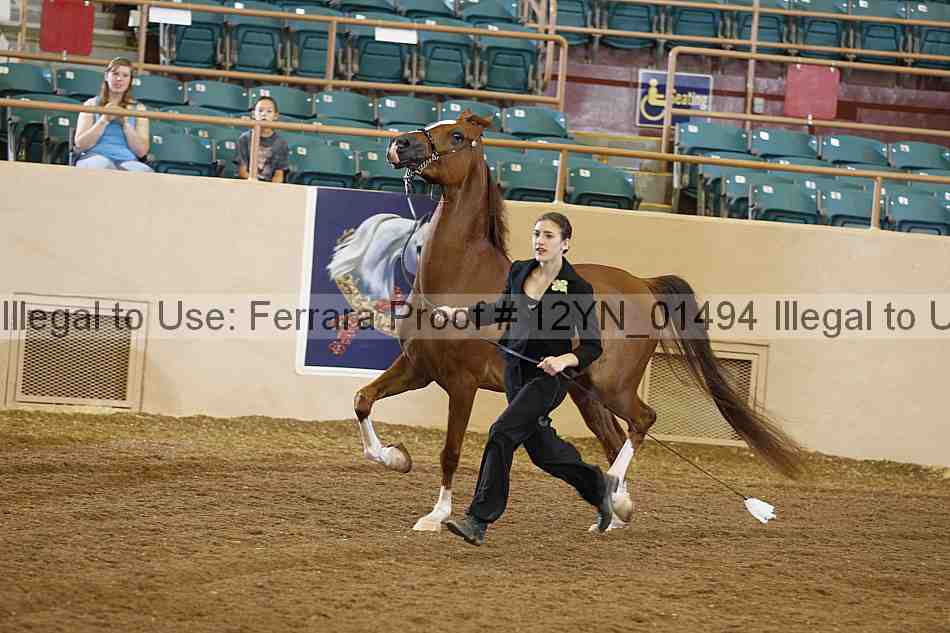 Proof 12yn_01494