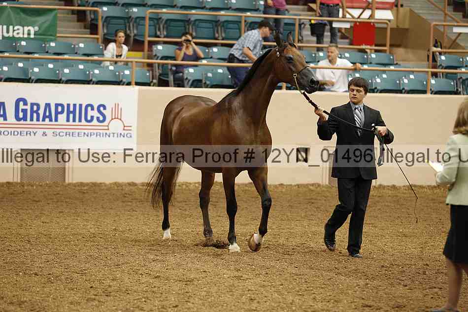Proof 12yn_01496
