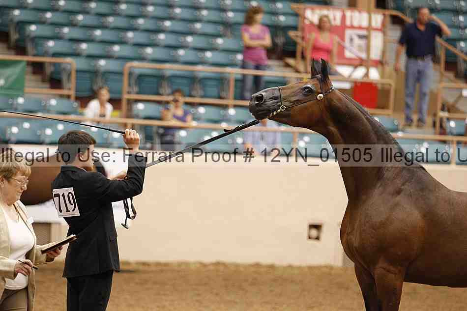 Proof 12yn_01505