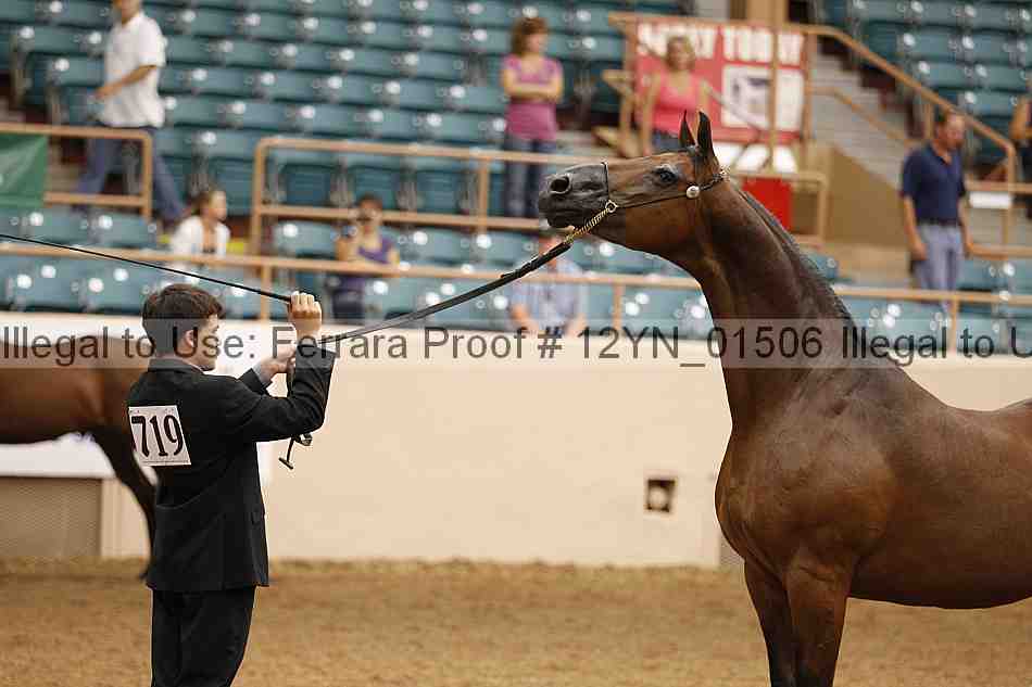 Proof 12yn_01506