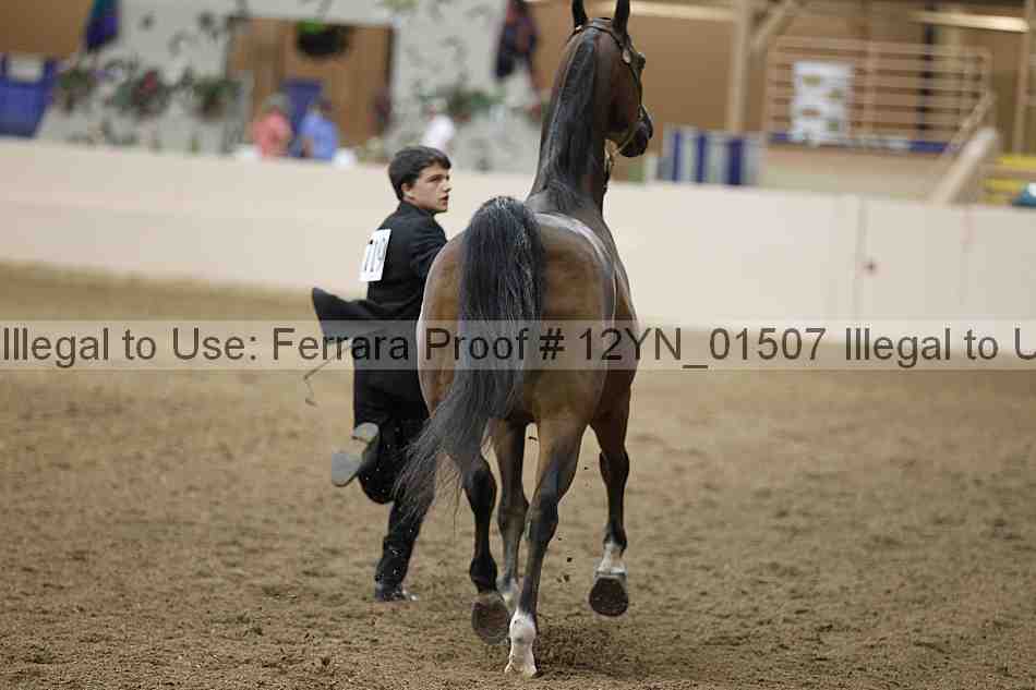 Proof 12yn_01507
