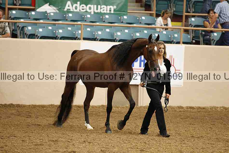 Proof 12yn_01509