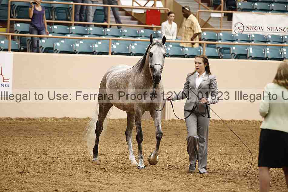 Proof 12yn_01523