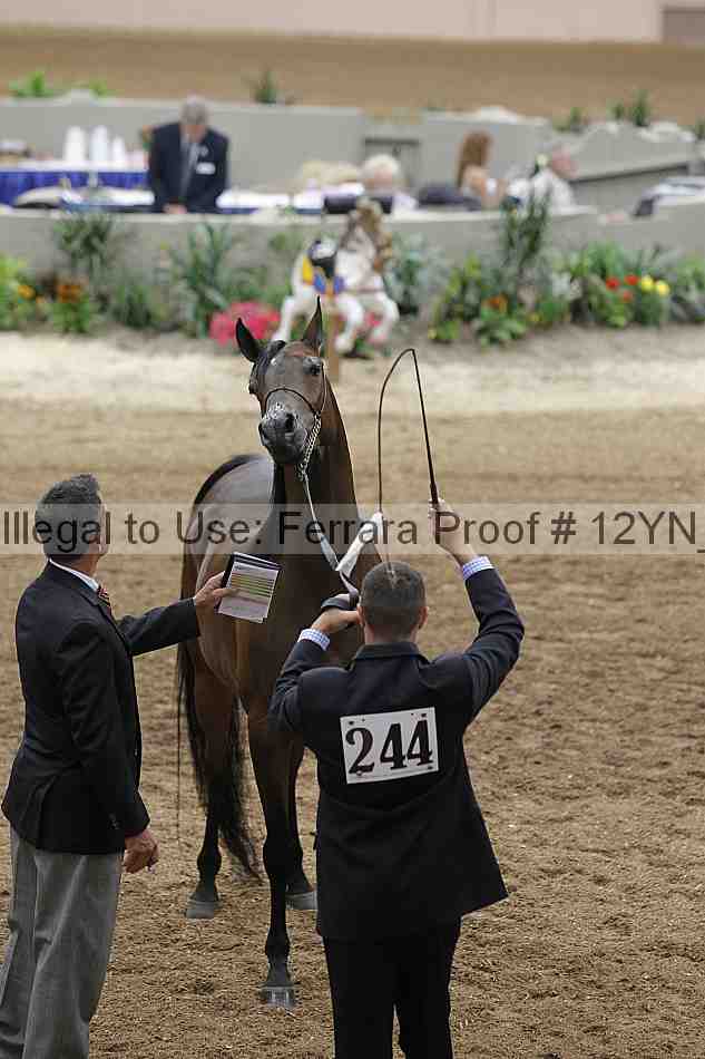 Proof 12yn_01532
