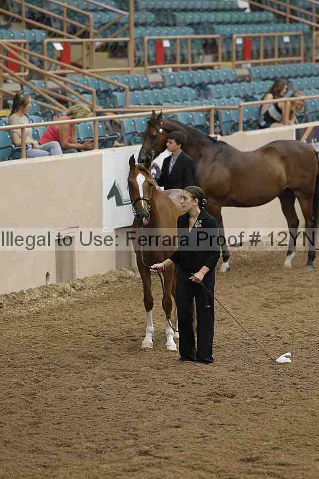 Proof 12yn_01535