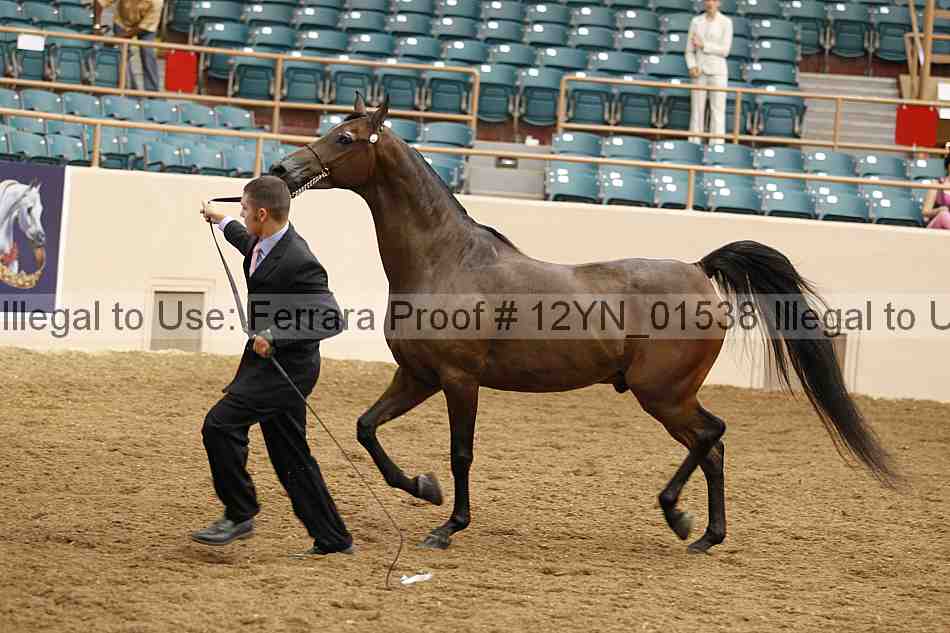 Proof 12yn_01538
