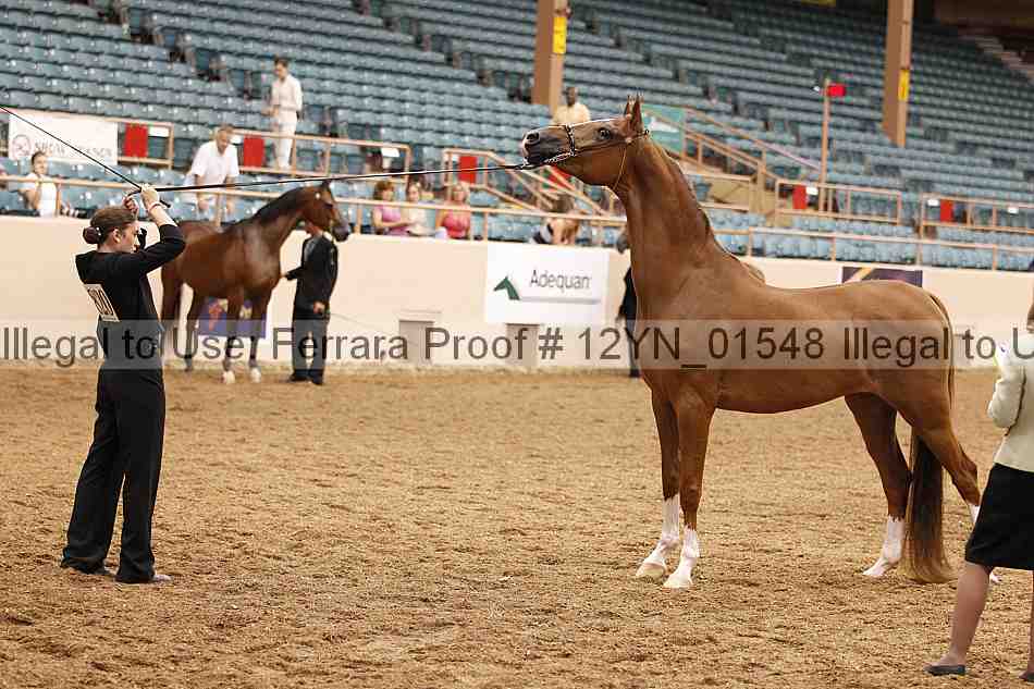Proof 12yn_01548