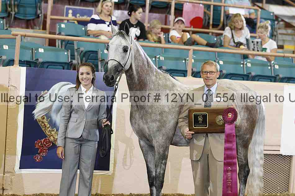 Proof 12yn_01554