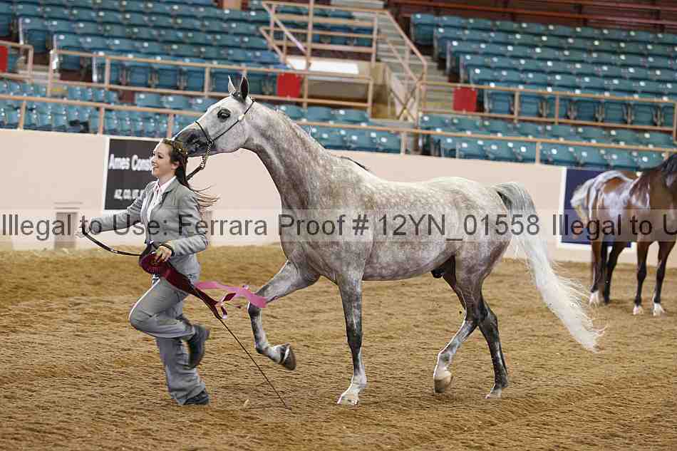 Proof 12yn_01558