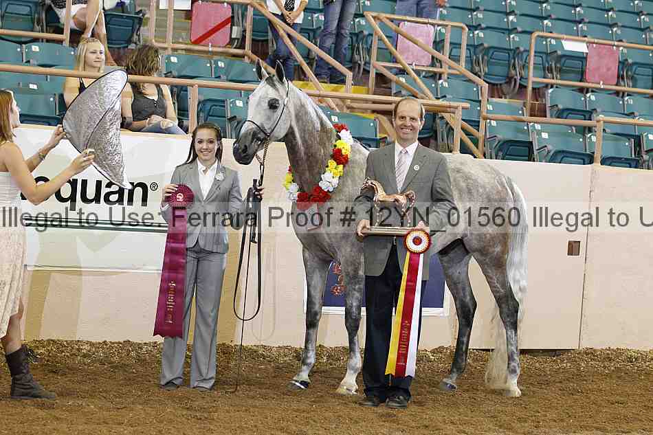 Proof 12yn_01560
