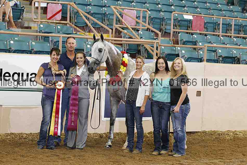 Proof 12yn_01566