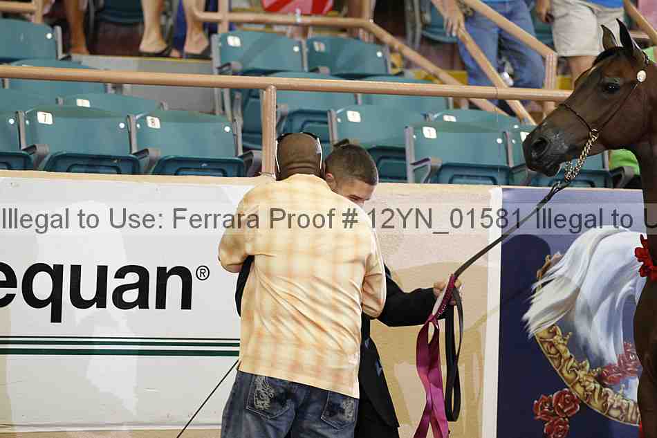 Proof 12yn_01581