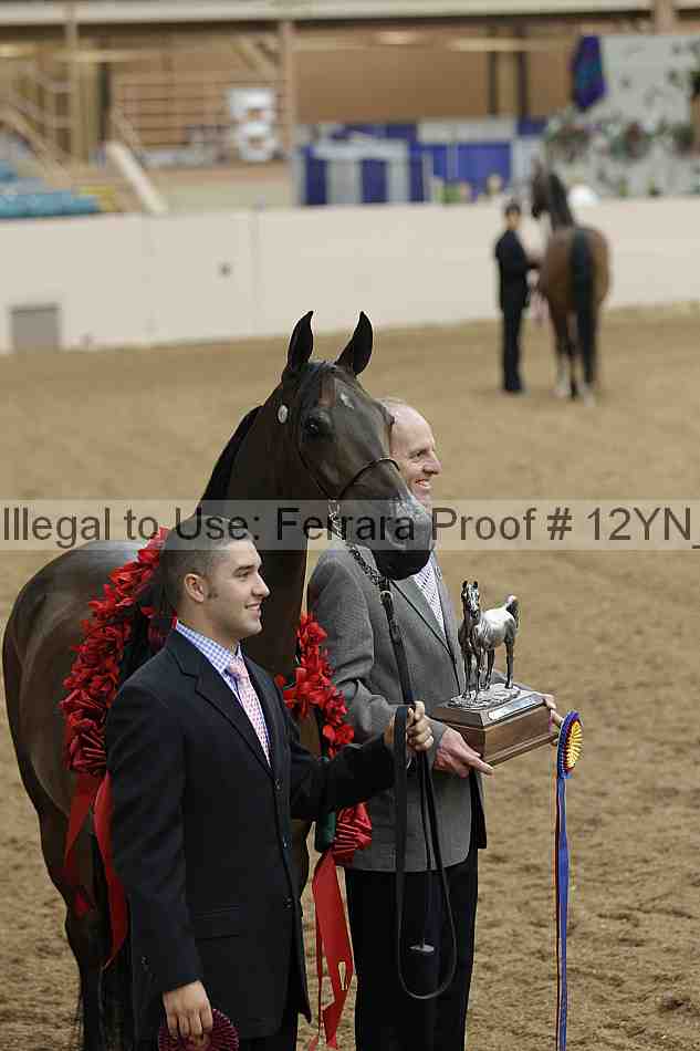 Proof 12yn_01584