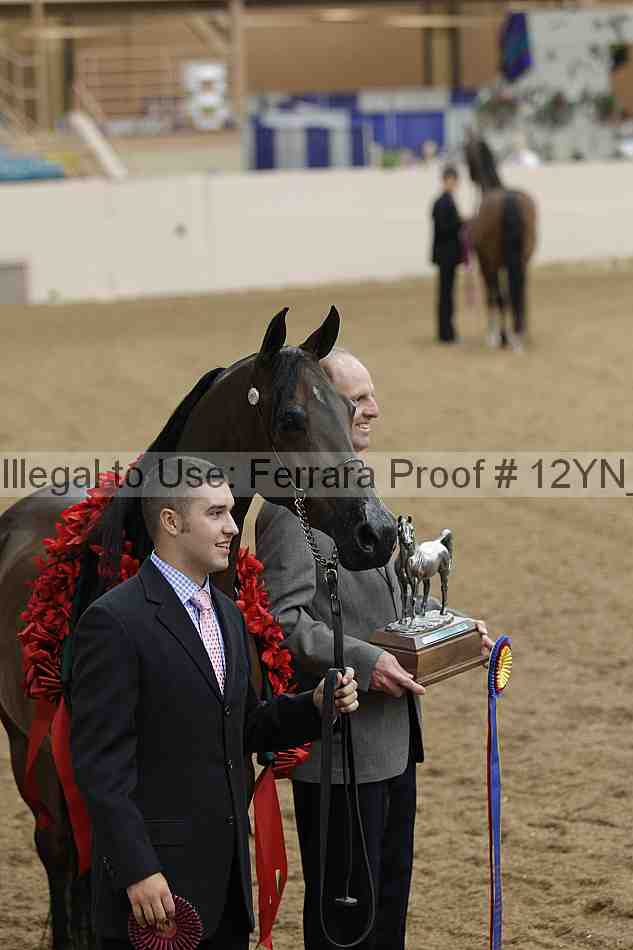 Proof 12yn_01585