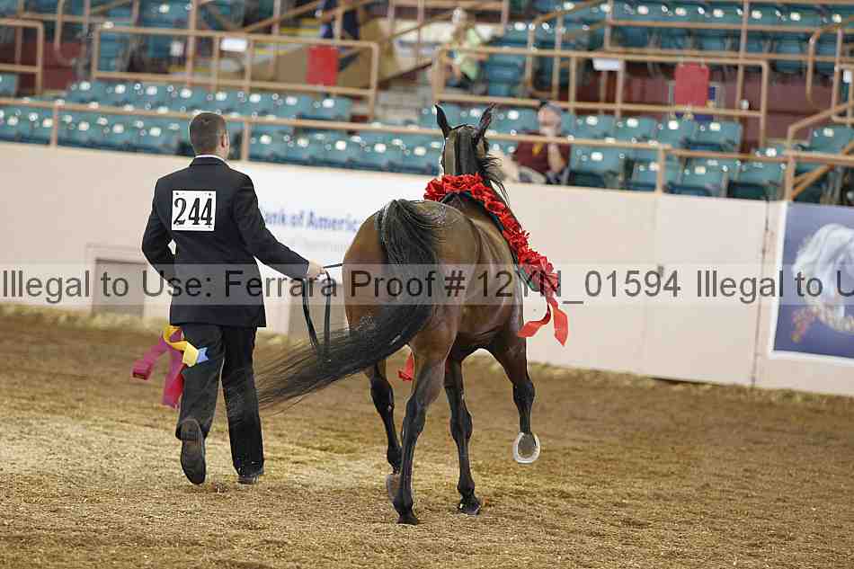 Proof 12yn_01594