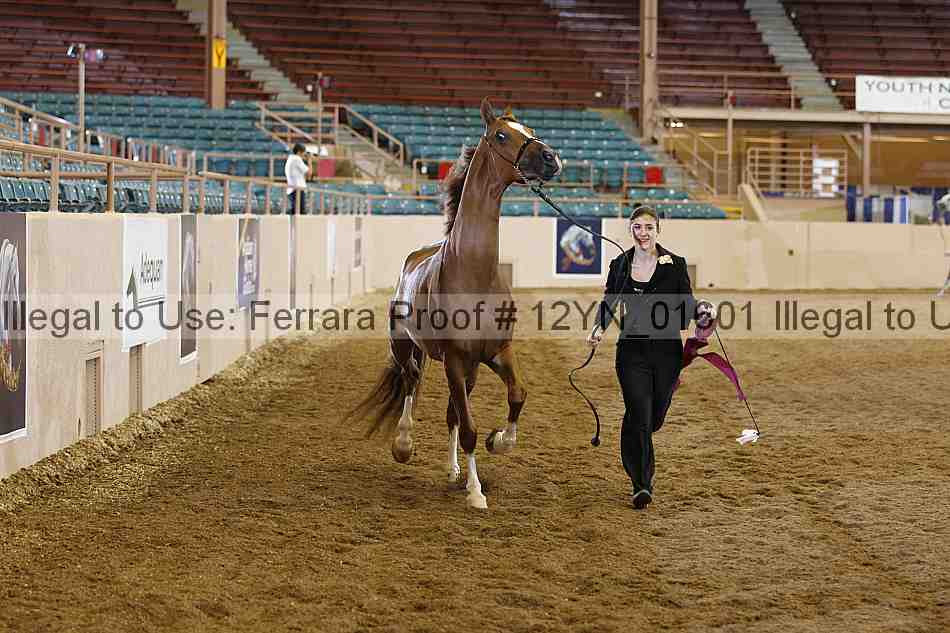 Proof 12yn_01601