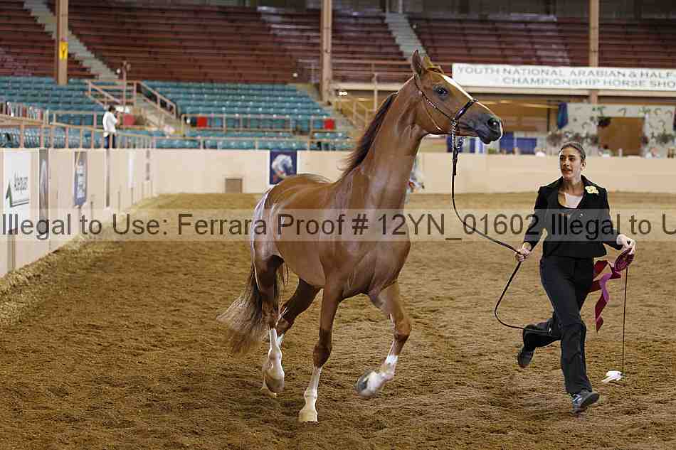 Proof 12yn_01602