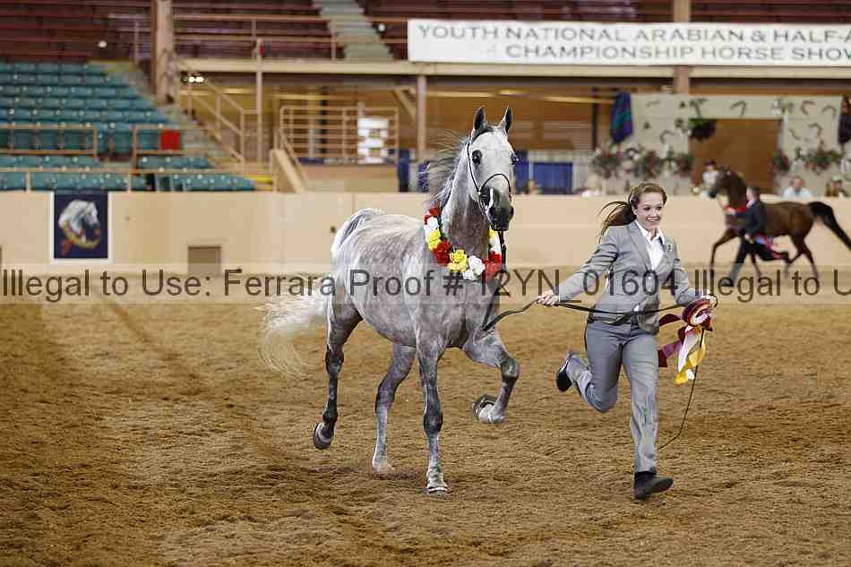 Proof 12yn_01604