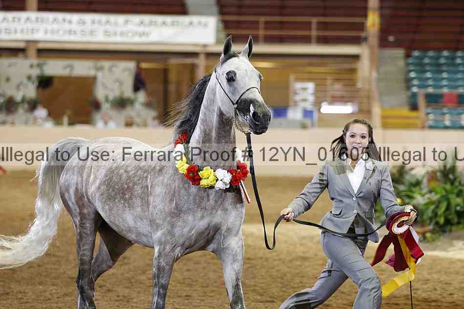 Proof 12yn_01605